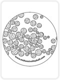 COASTER.1