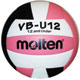 IVBU12.1990