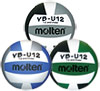 IVBU12DS