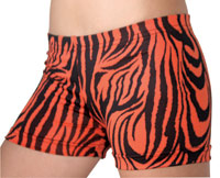TRIZEB.20