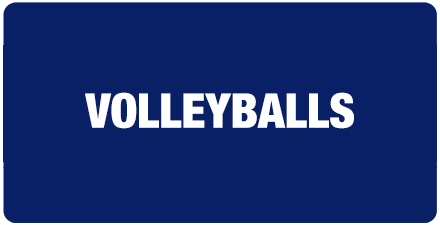 equipment-volleyballs