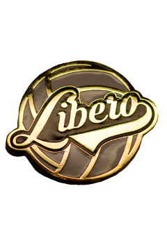 PZLIBERO