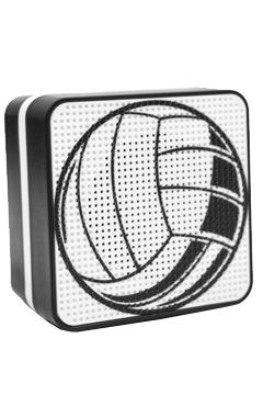 VBSPEAK2