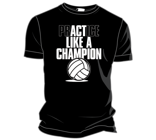 a champion shirt